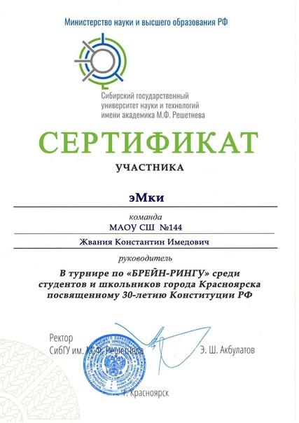 Турнир «БРЕЙН-РИНГУ».