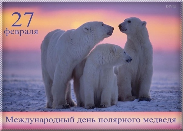 День белого медведя.